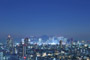 Mt. Fuji & Tokyo Night View [Tokyo]